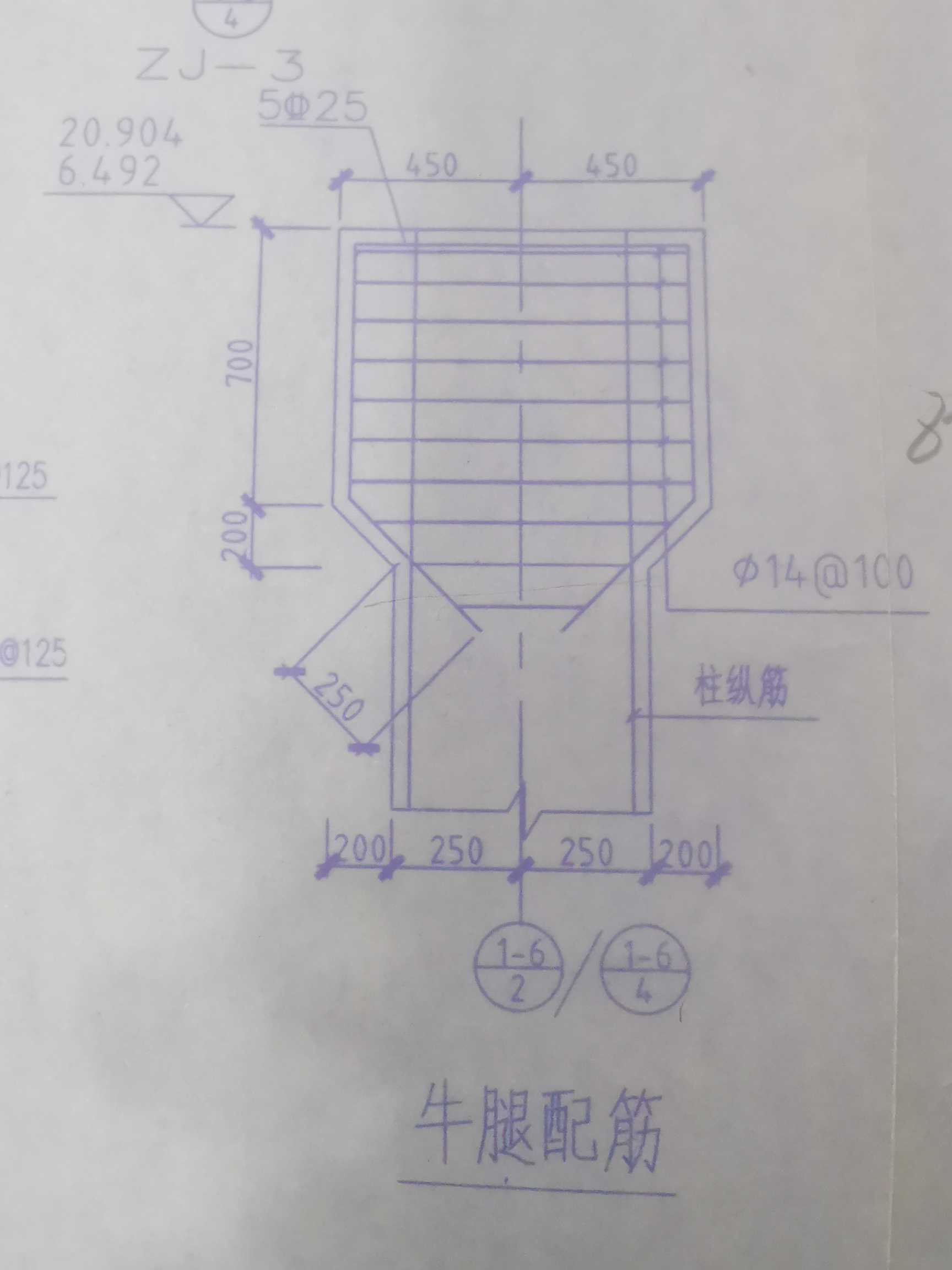 縱筋