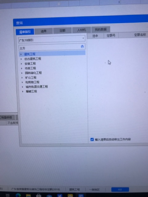 定额