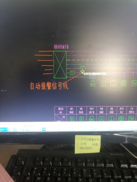 根数