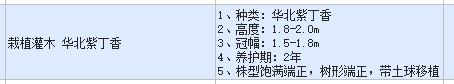 苗木的