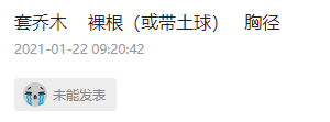 行距
