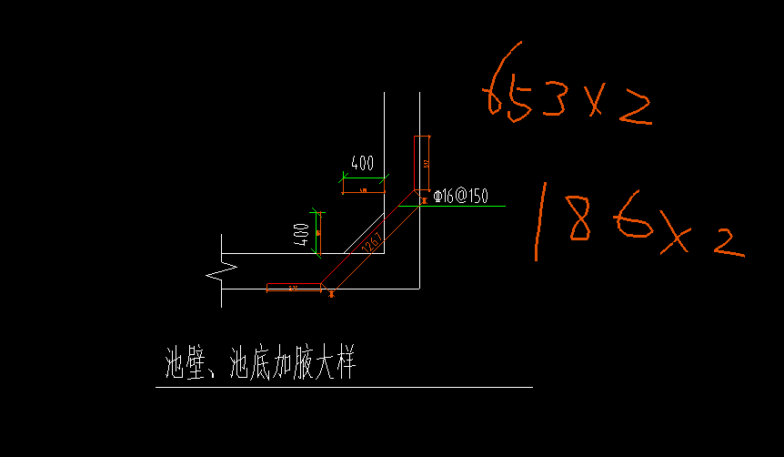 根数