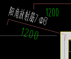 放射筋