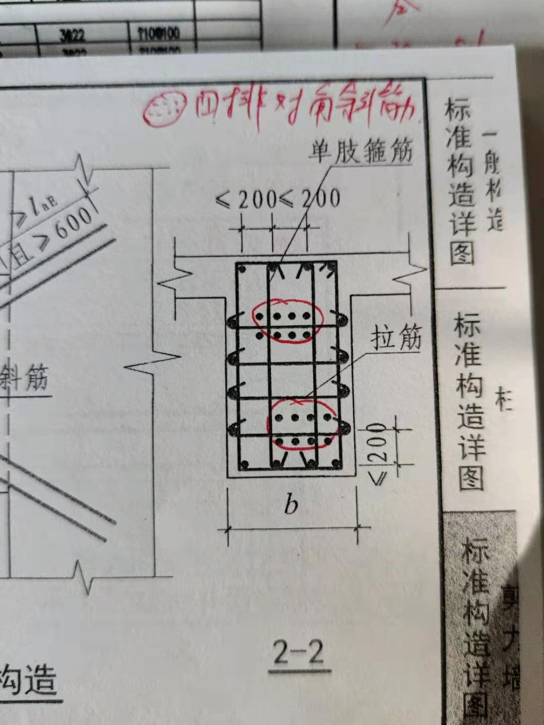 斜筋