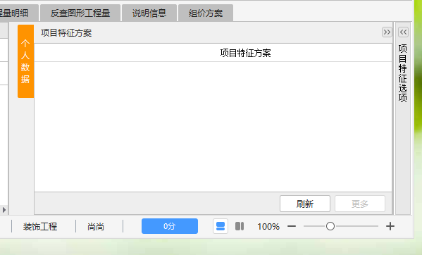 项目特征