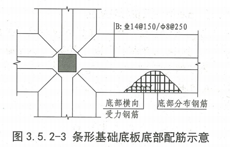 分布筋