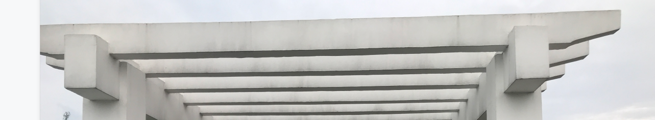 异形的