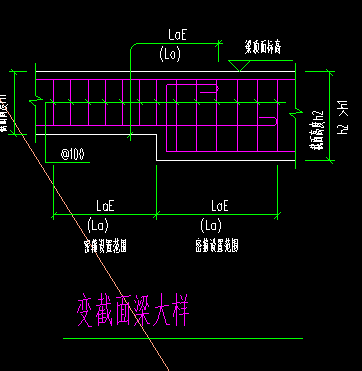 截面