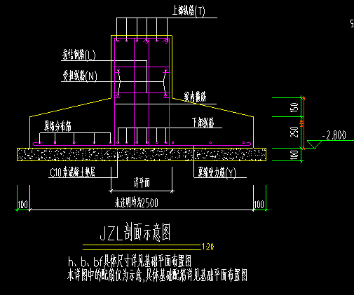 条基