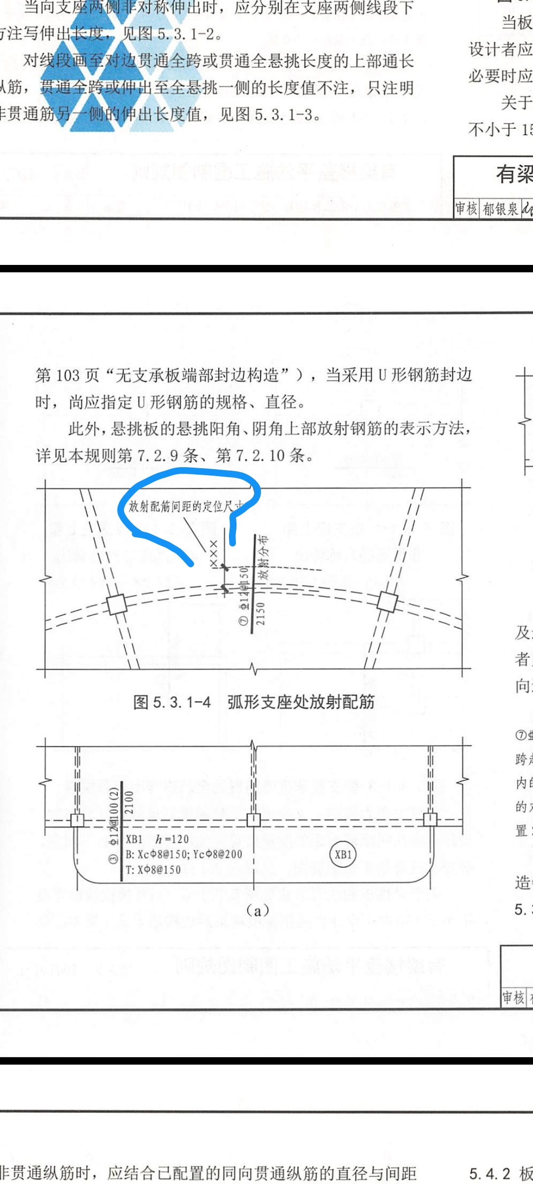 放射筋