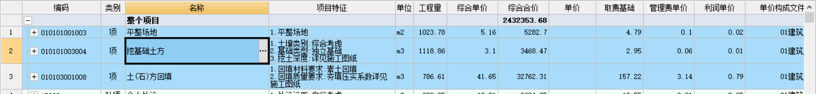 项目特征