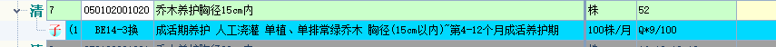 子目