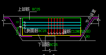 面筋