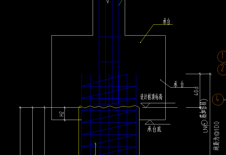 直筋