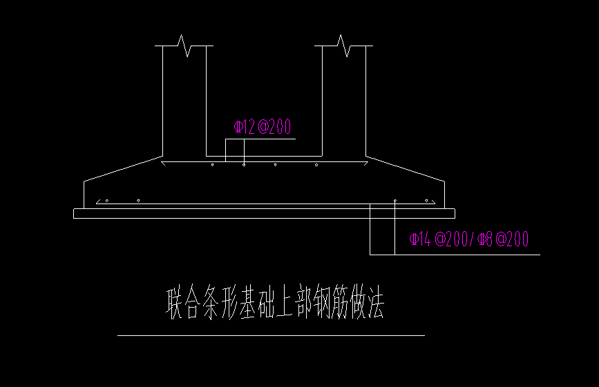 条基