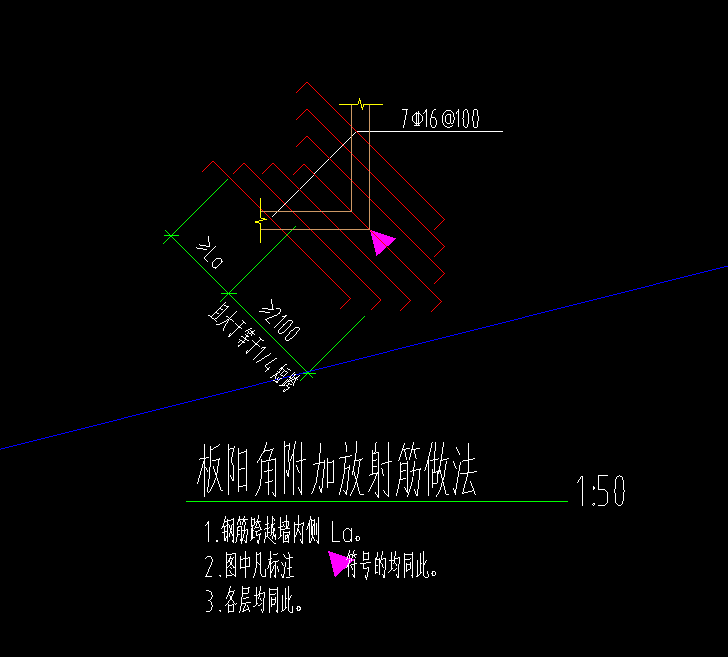 放射筋