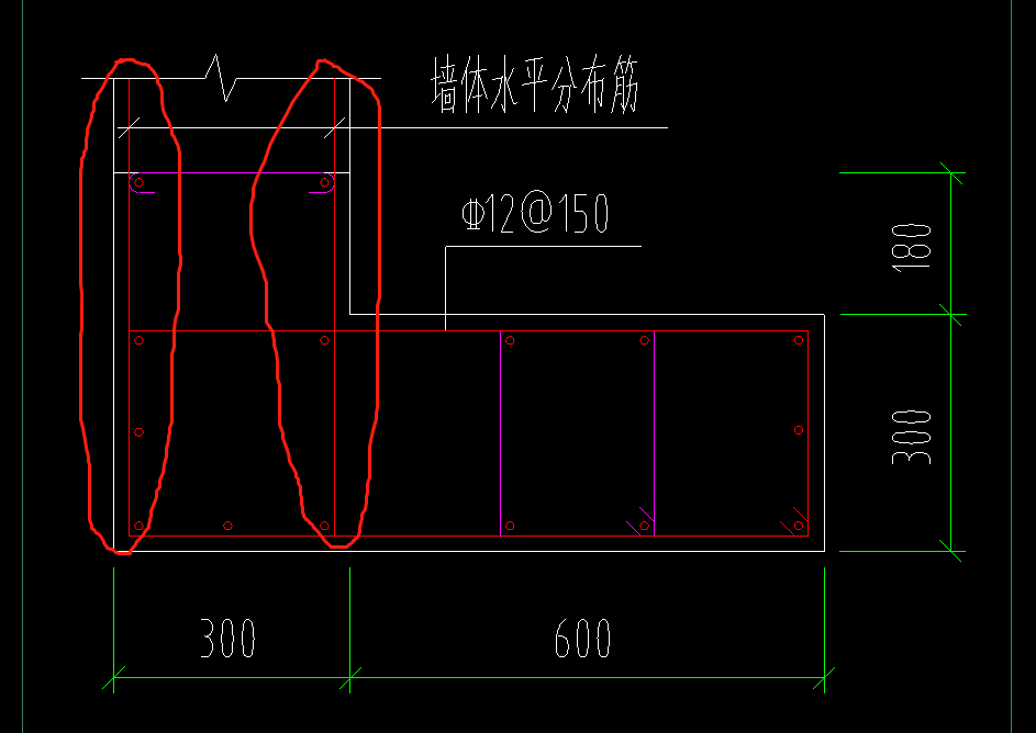 分布筋