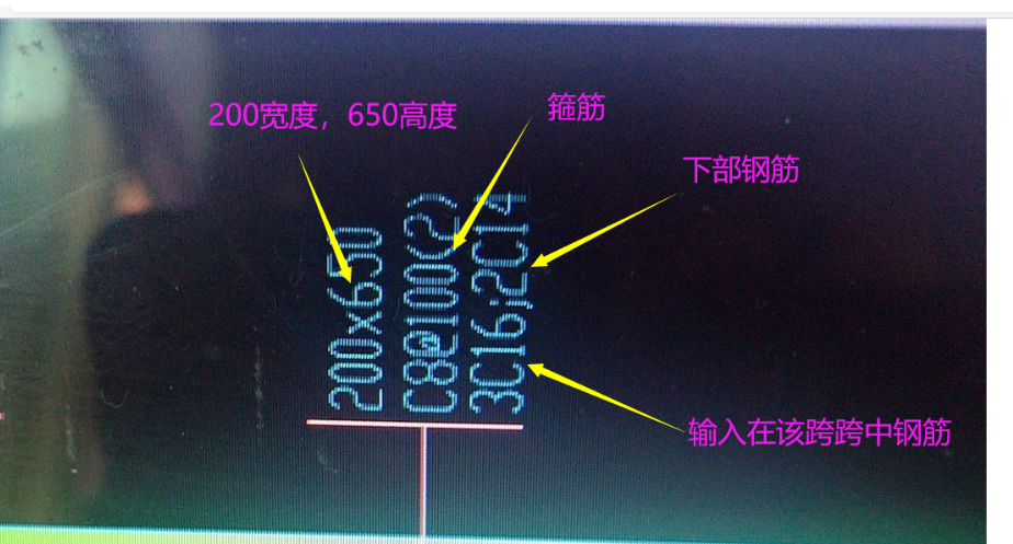 梁标注