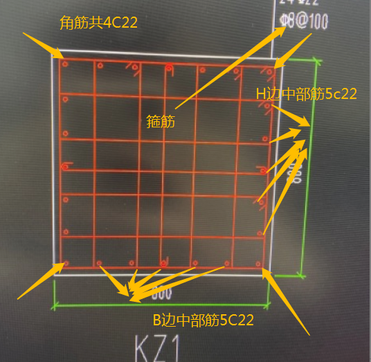 箍