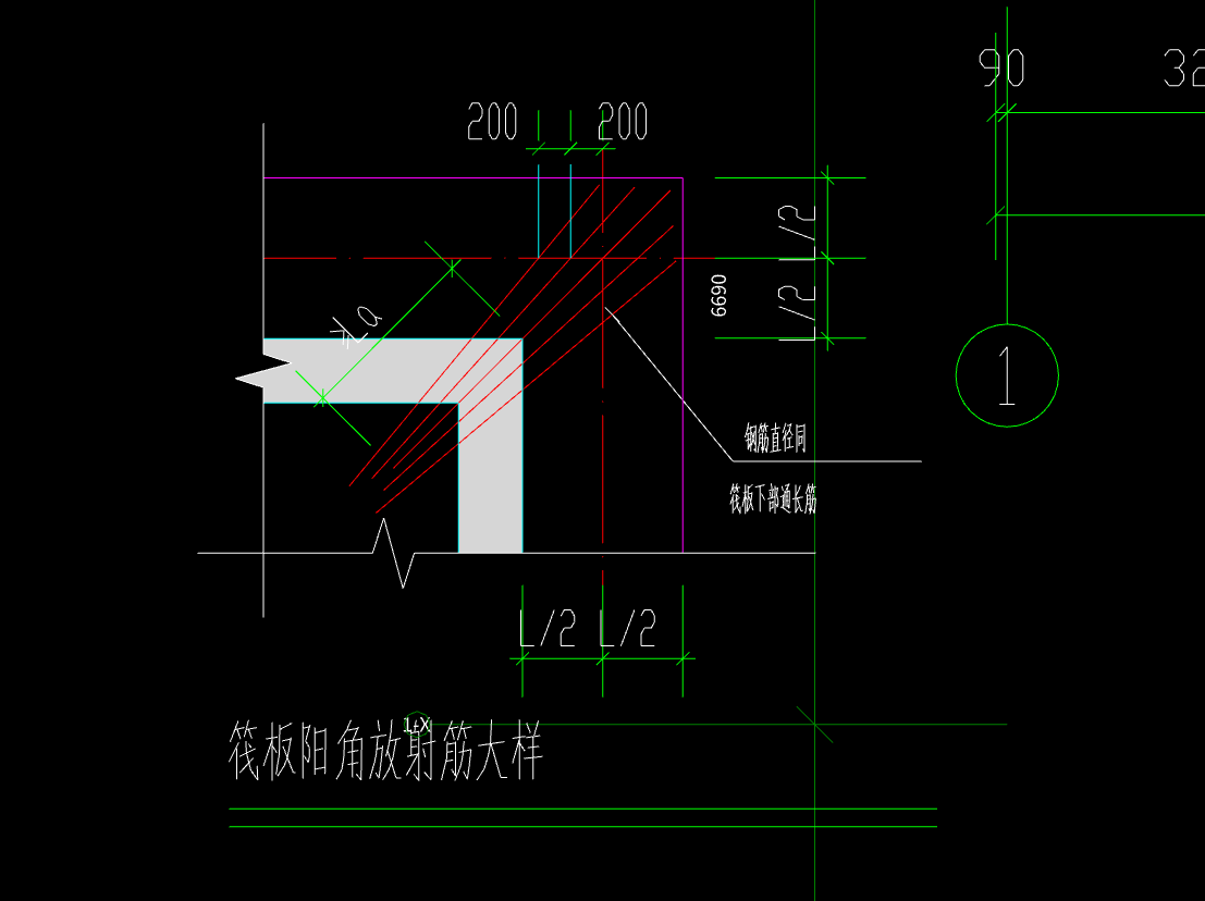 放射筋