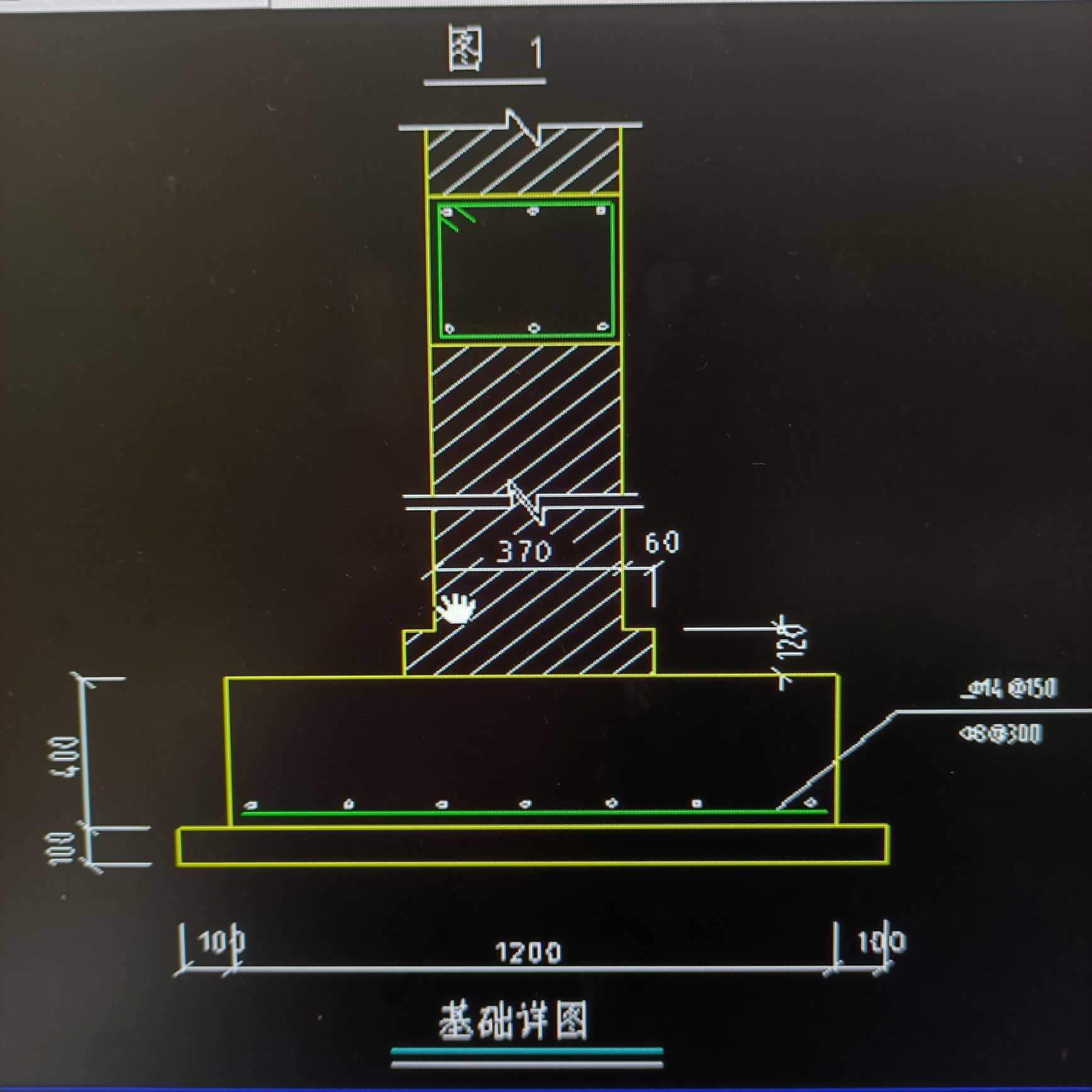 條基