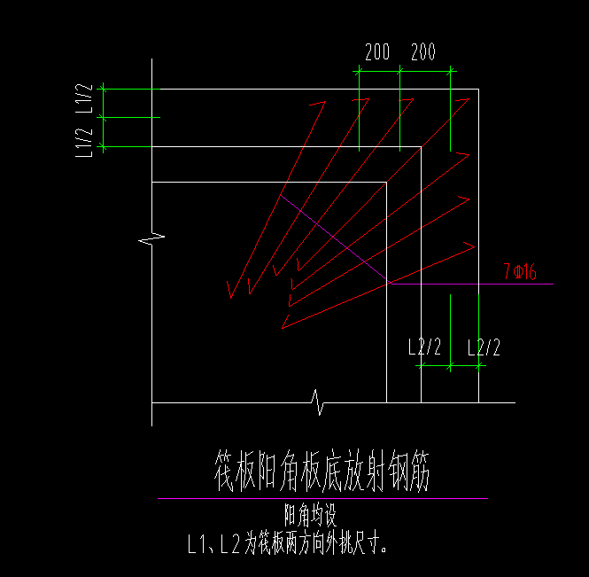 放射筋