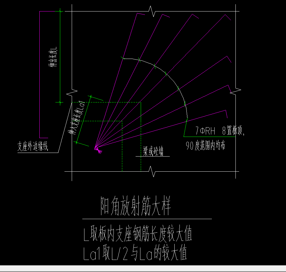 放射筋