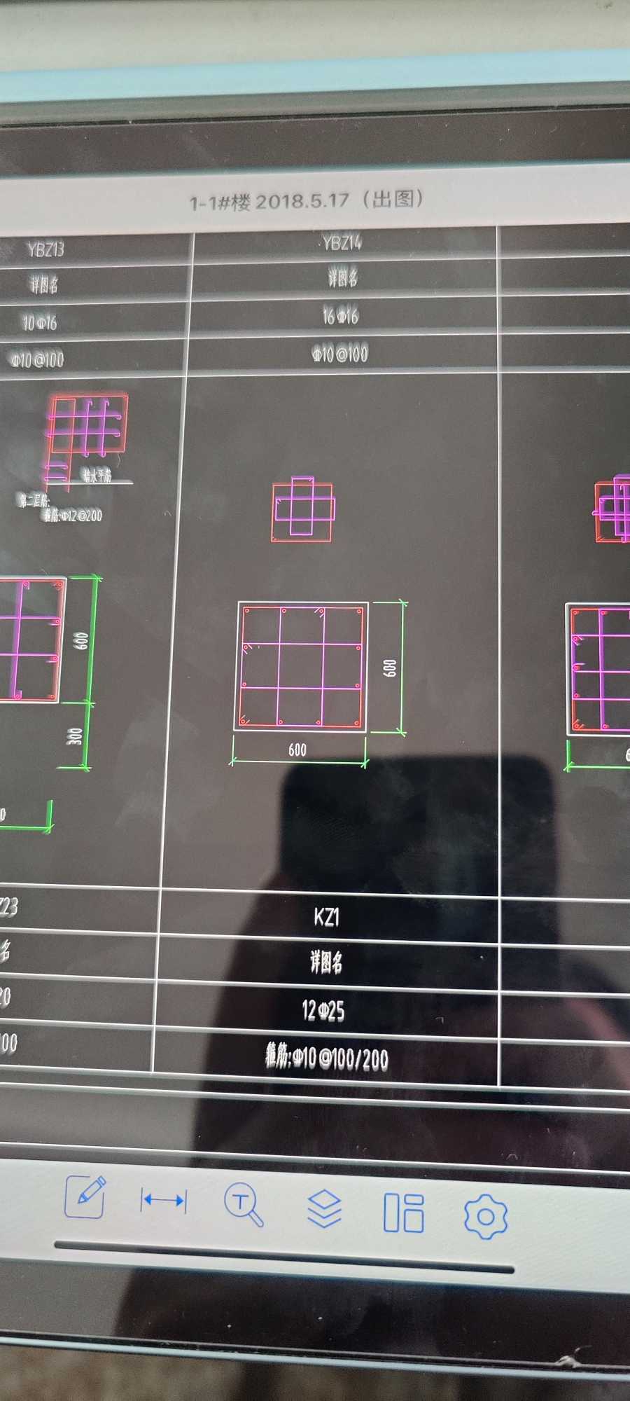 縱筋