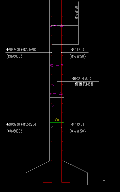 直筋