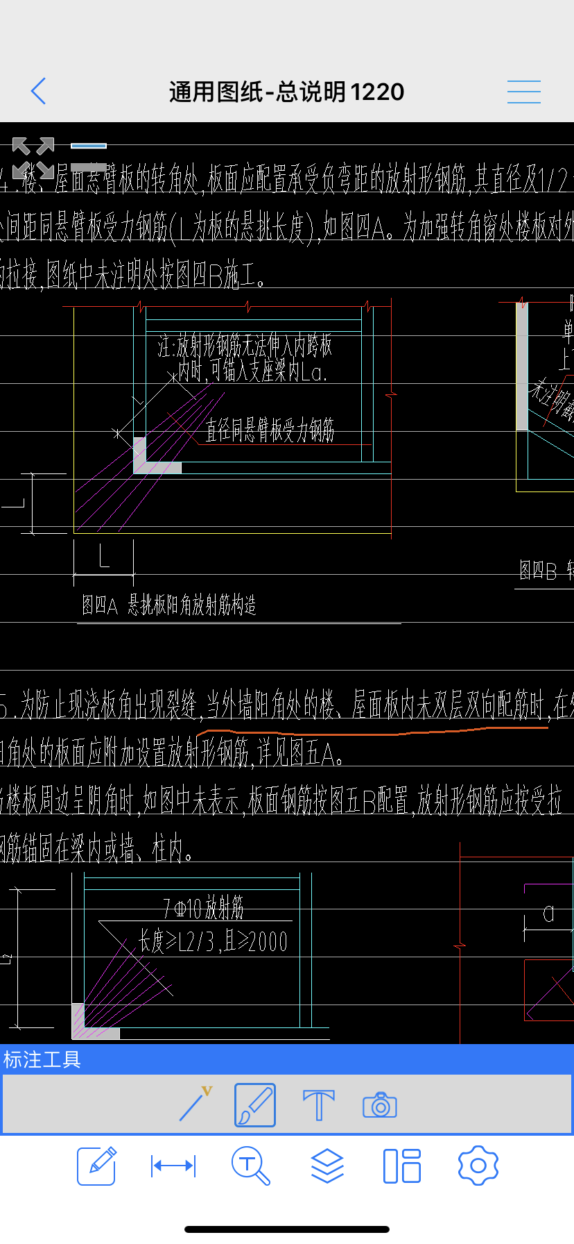 放射筋