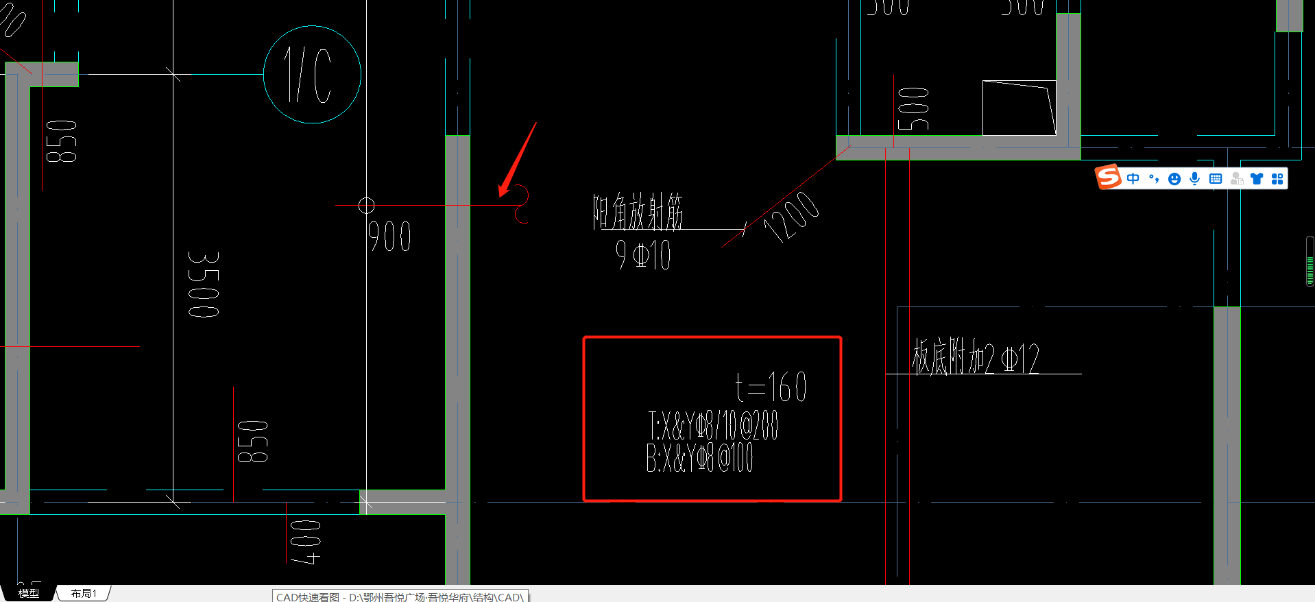 面筋