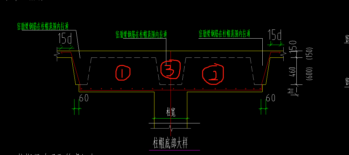 主肋梁