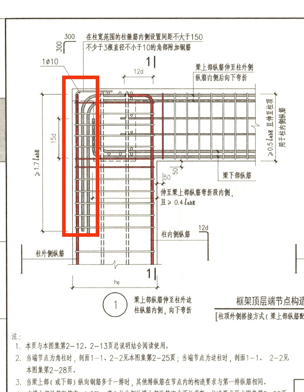 外侧纵筋