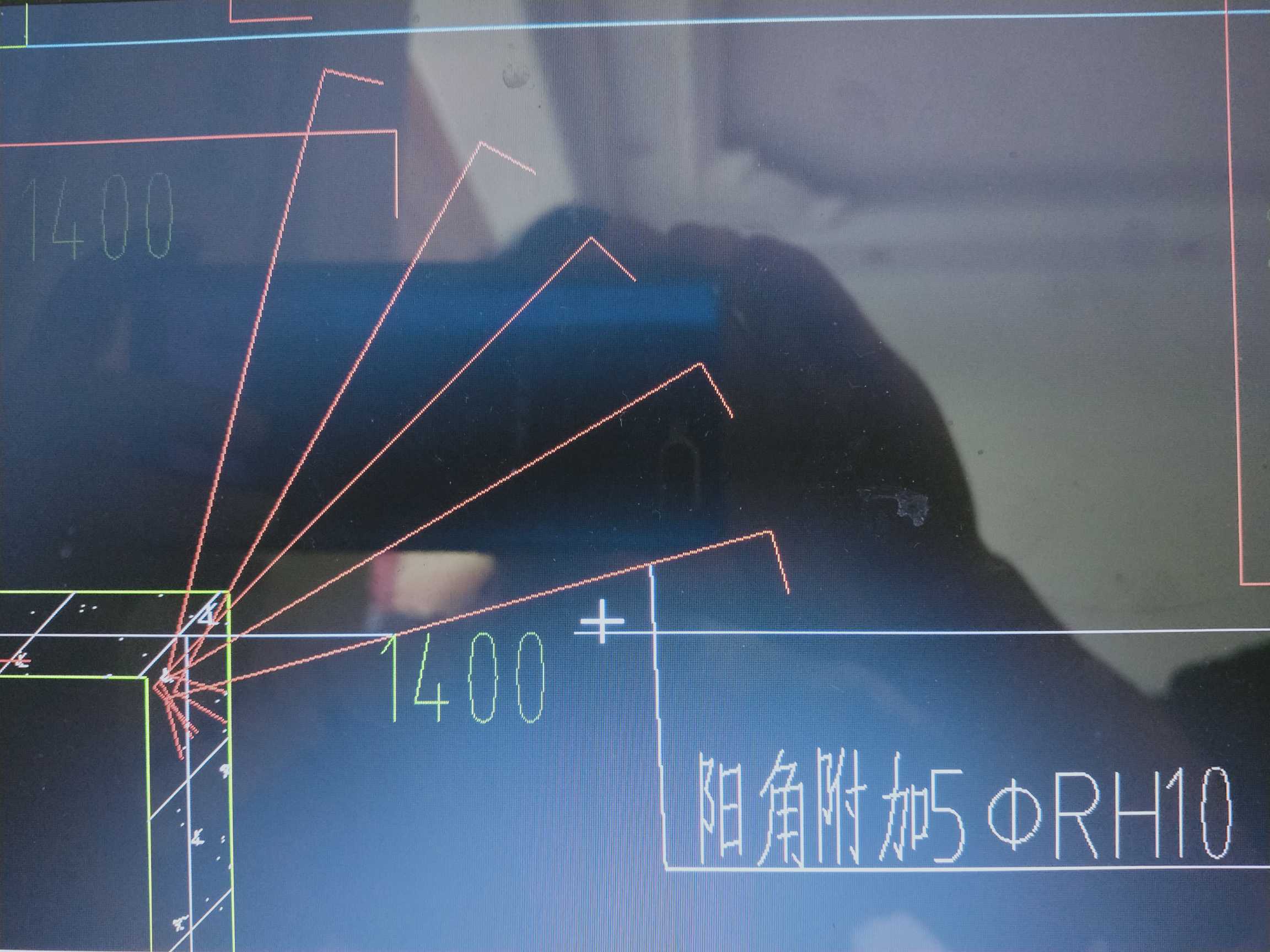 放射筋