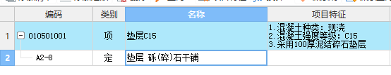 项目特征