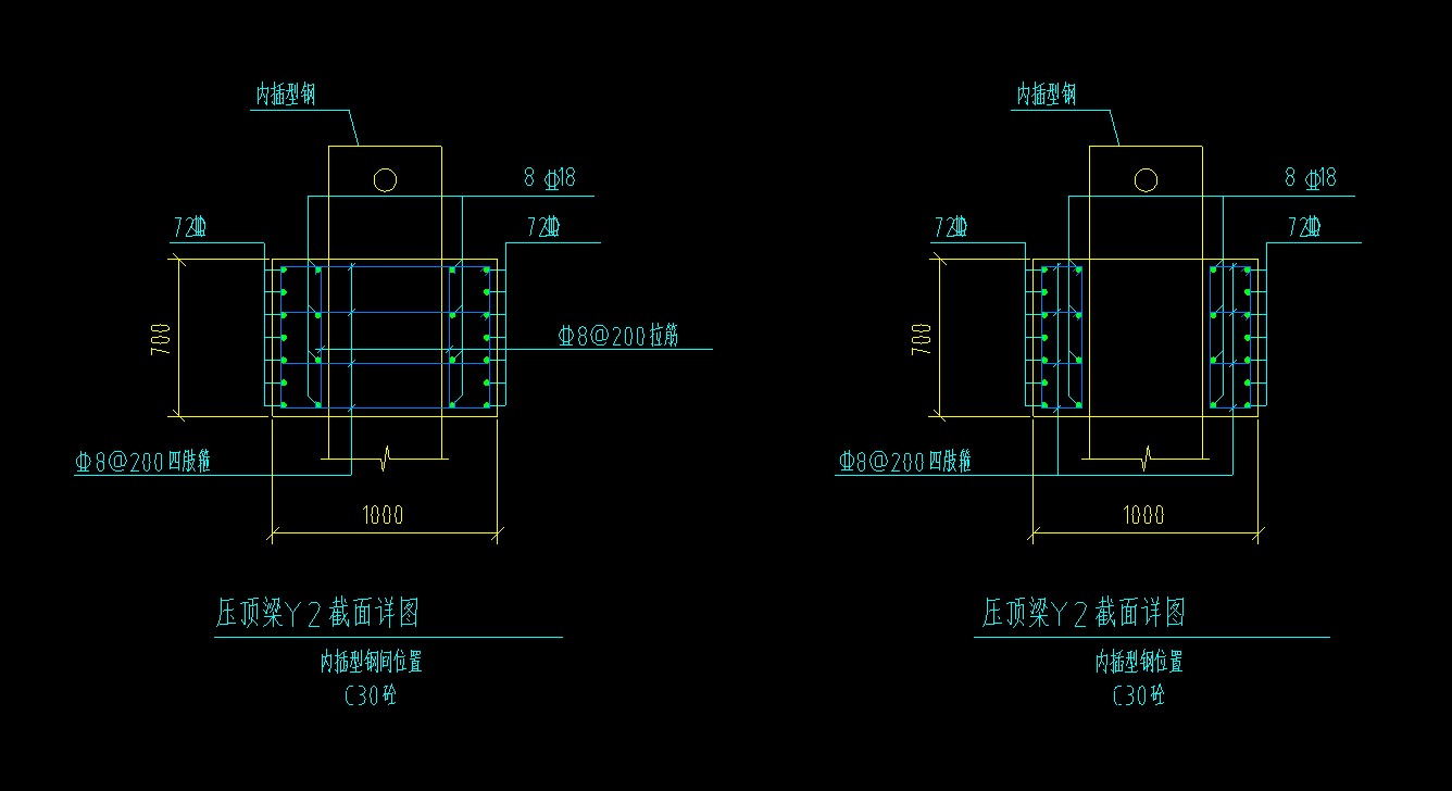 顶梁