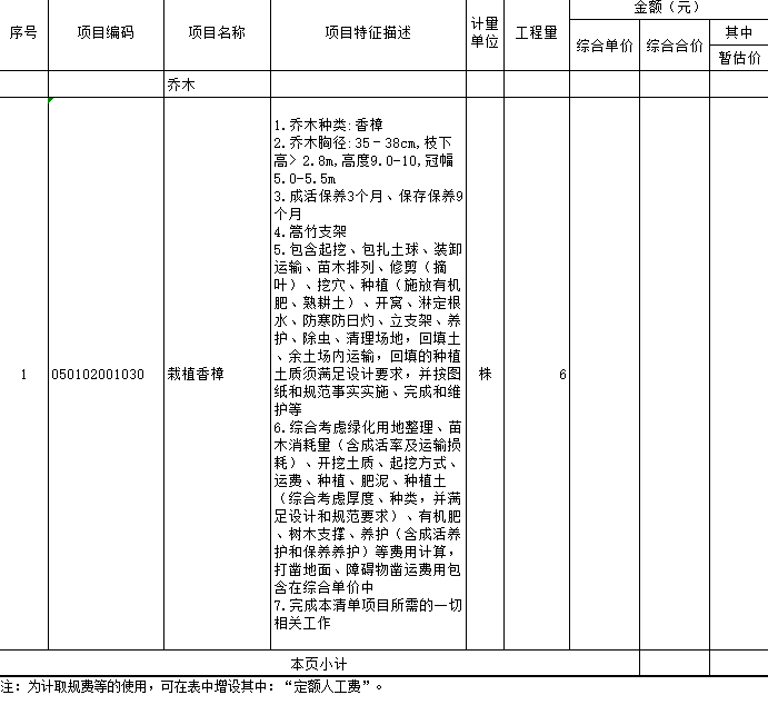 项目特征