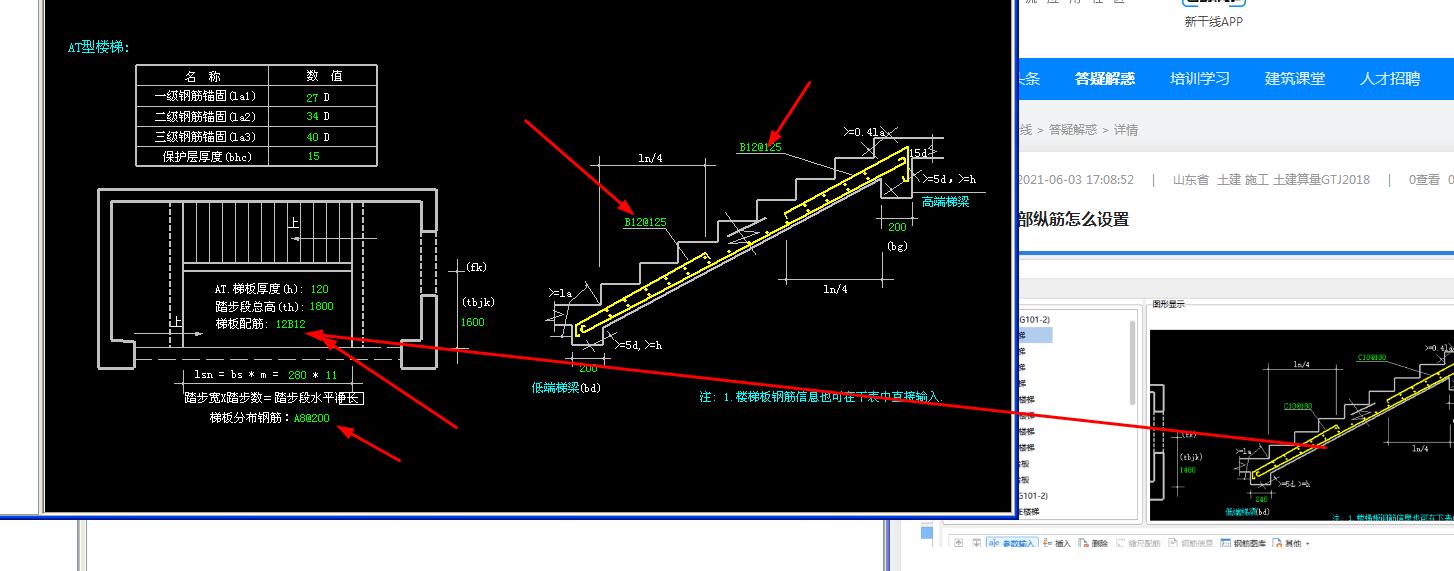 这个楼梯的下部纵筋怎么设置