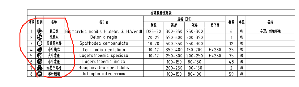 乔木