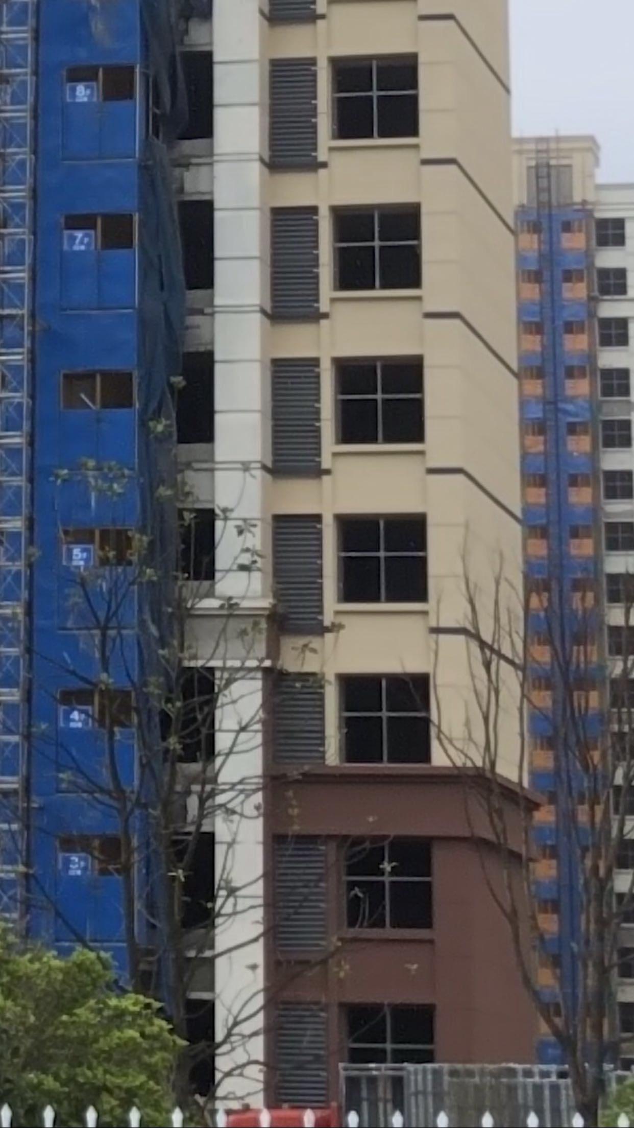 线条