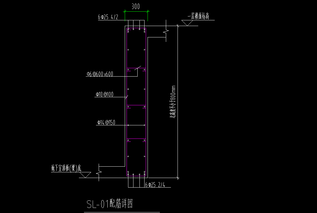 根数