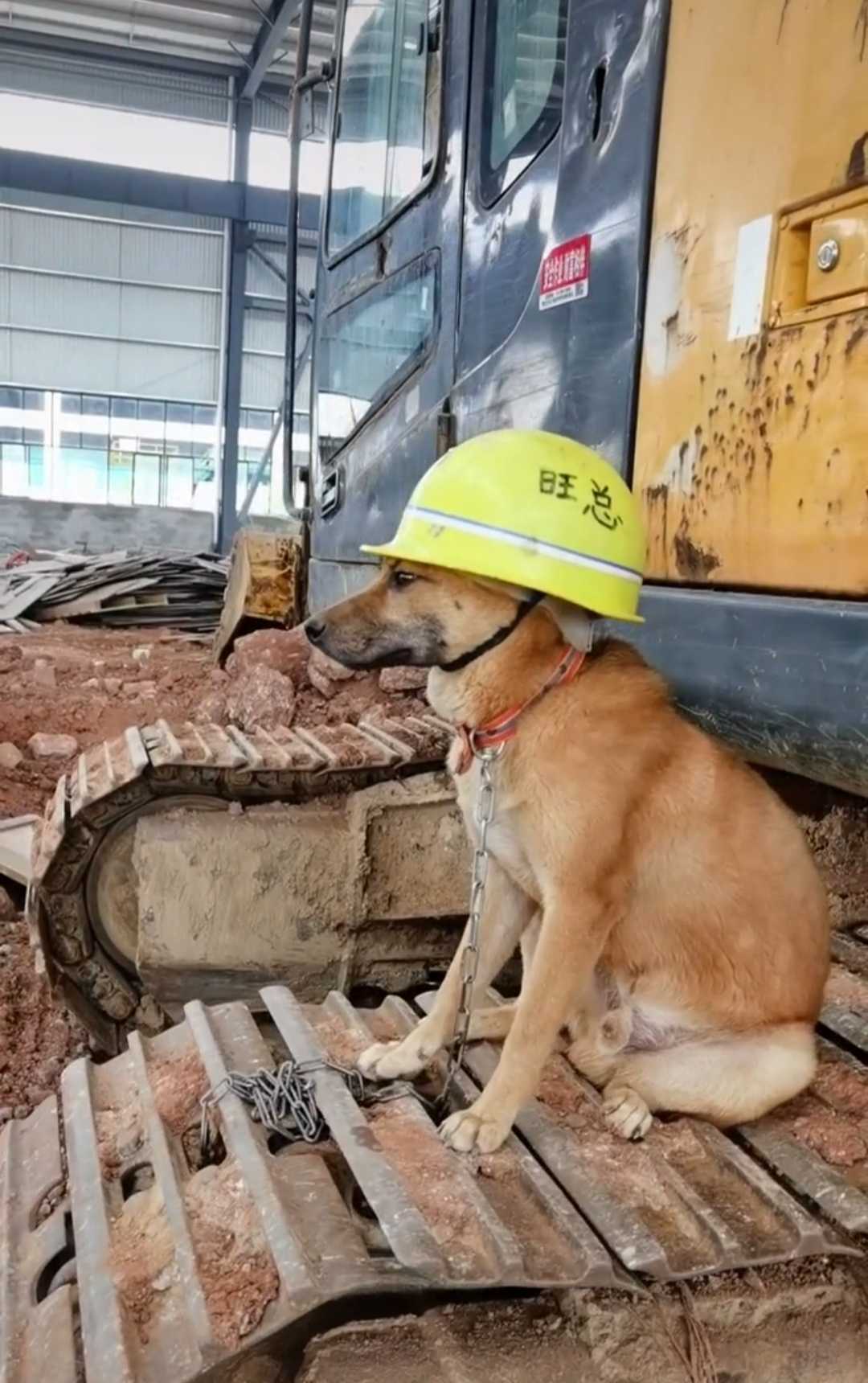 建筑装饰装修
