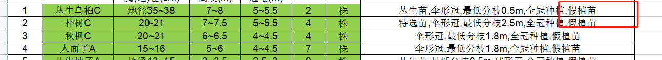 乔木