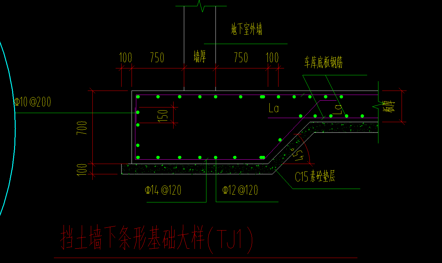 条基