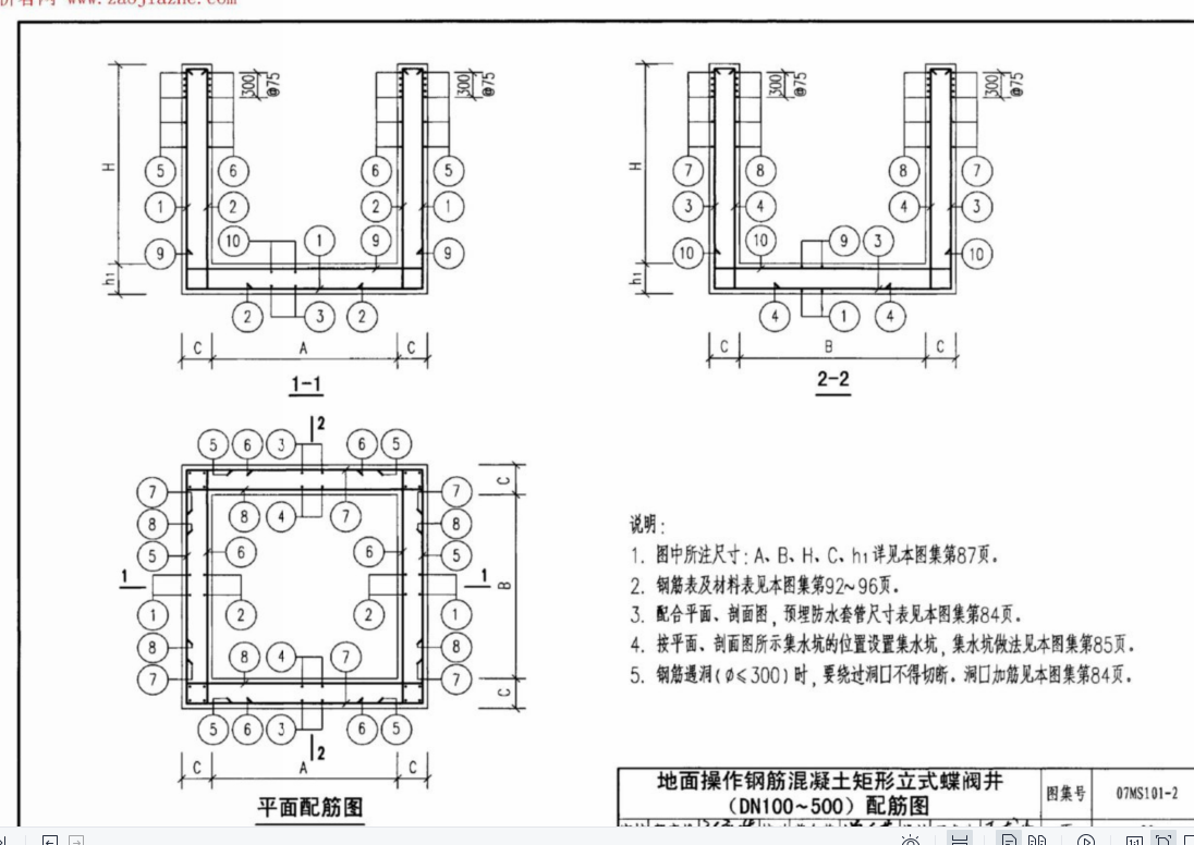 分布筋