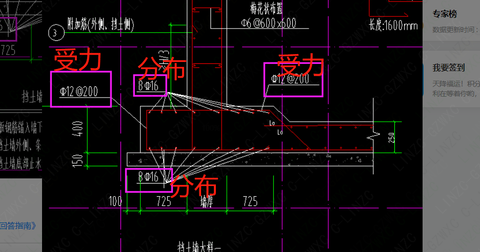 图中的条基哪个是受力筋和分布筋