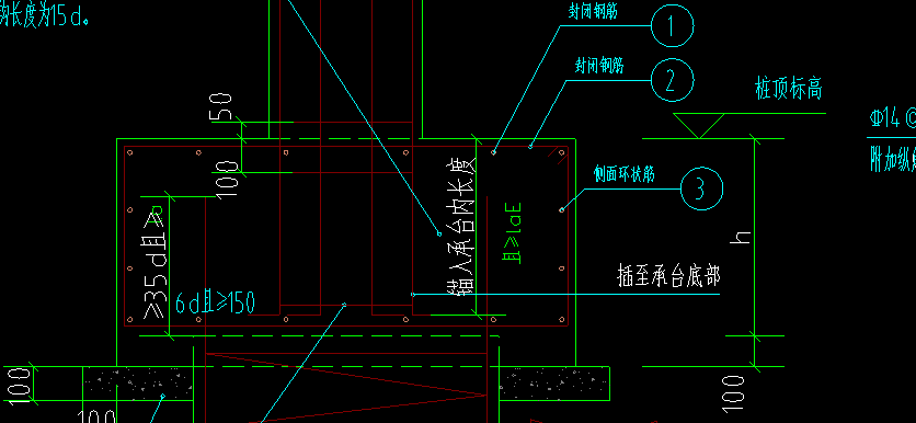 桩顶