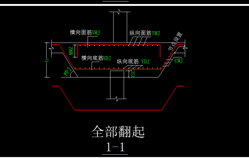 异形