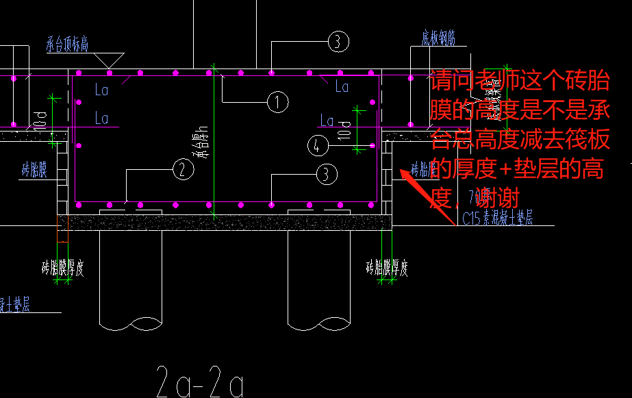 磚胎膜