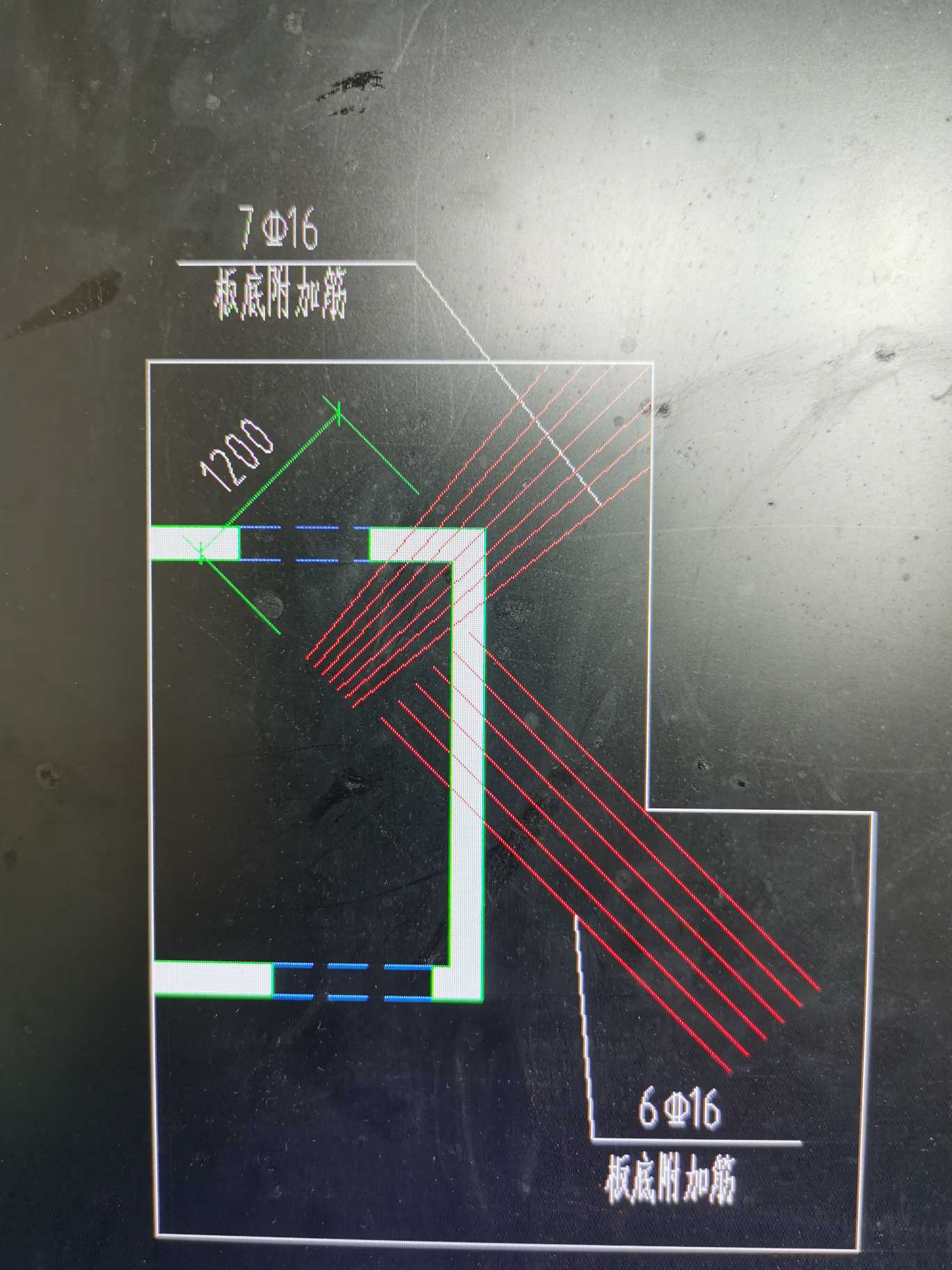 放射筋
